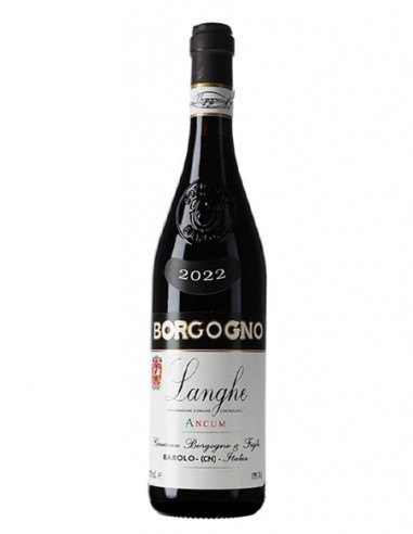 LANGHE ANCUM DOLCETTO 75CL