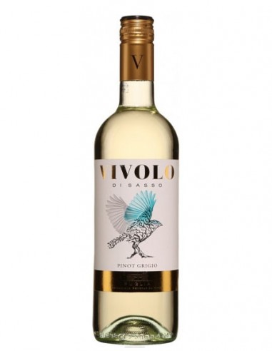 VIVOLO PINOT GRIGIO DELLE VENEZIE