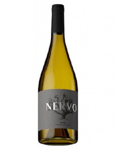 NERVO RIBEIRO 75 CL