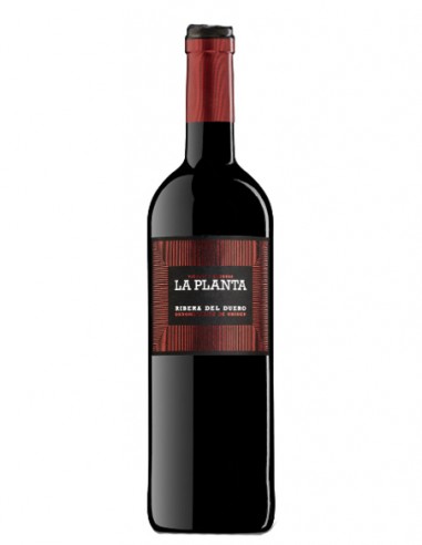 LA PLANTA ROBLE 75CL