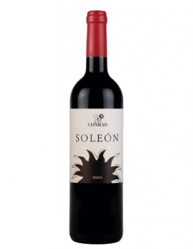 SOLEON CREACION CONRAD