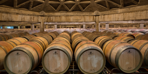Descubre la Magia de Bodegas Olarra: la Gran Catedral del Rioja