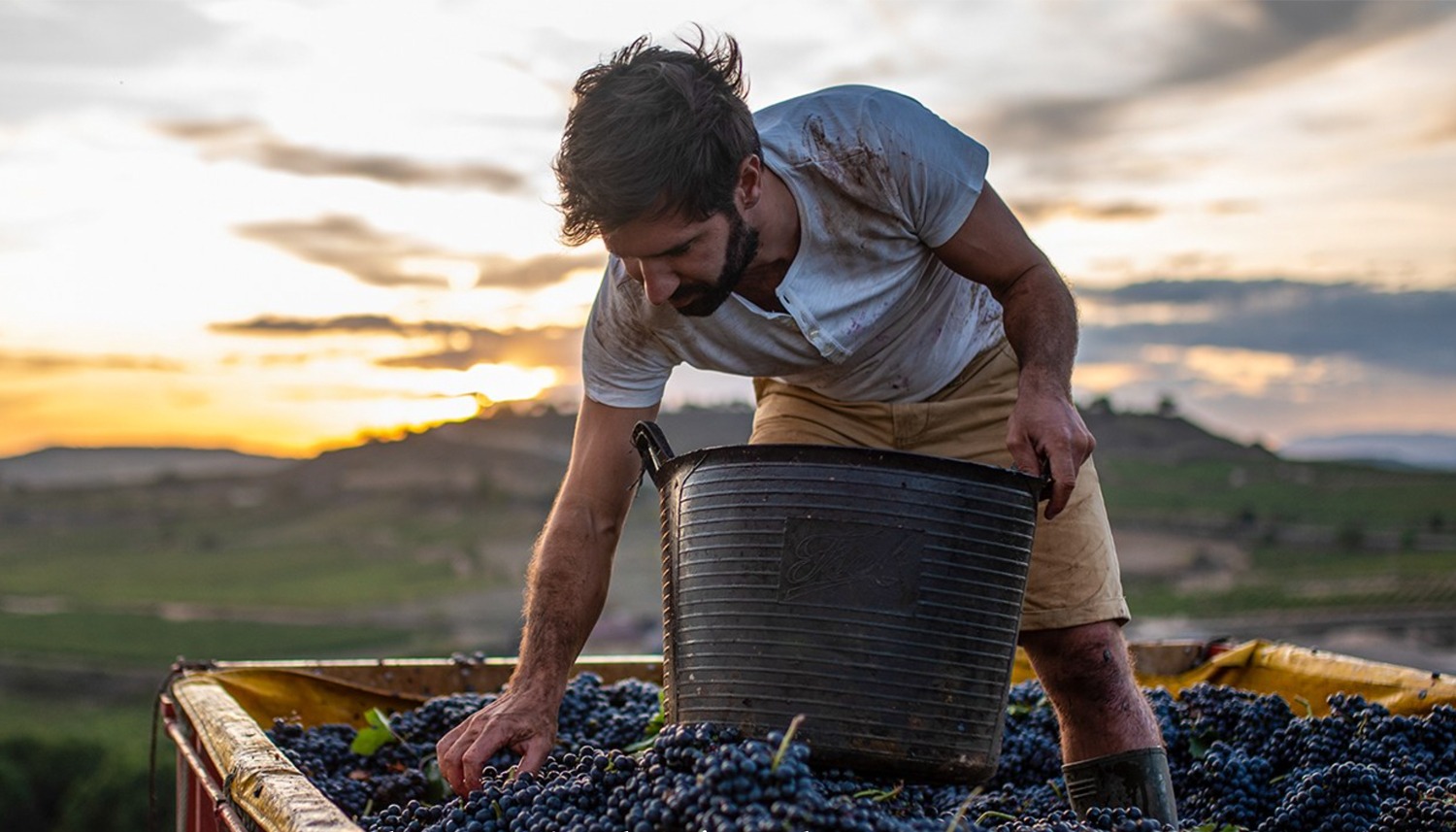 Hacienda López de Haro: la nueva tradición riojana